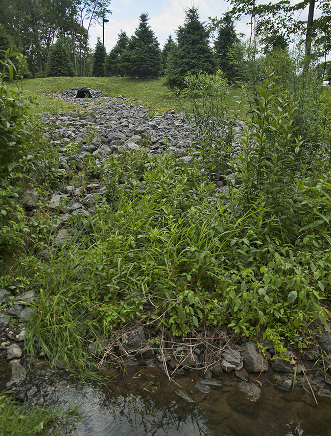 Stormwater discharge